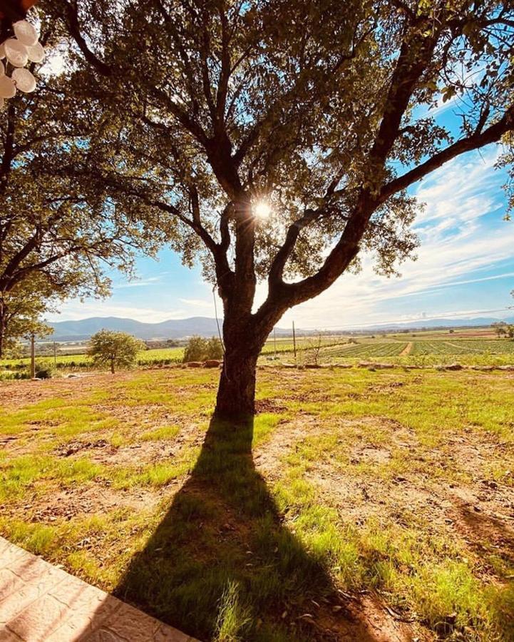 Апартаменти When In Maremma Альберезе Екстер'єр фото
