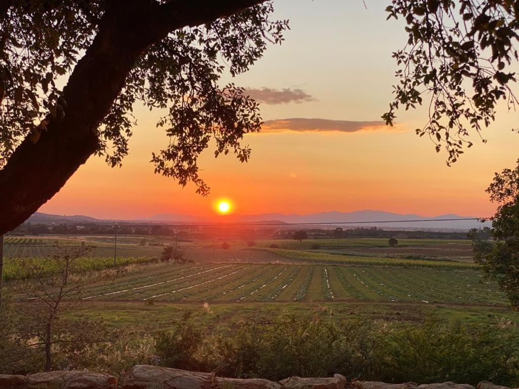 Апартаменти When In Maremma Альберезе Екстер'єр фото